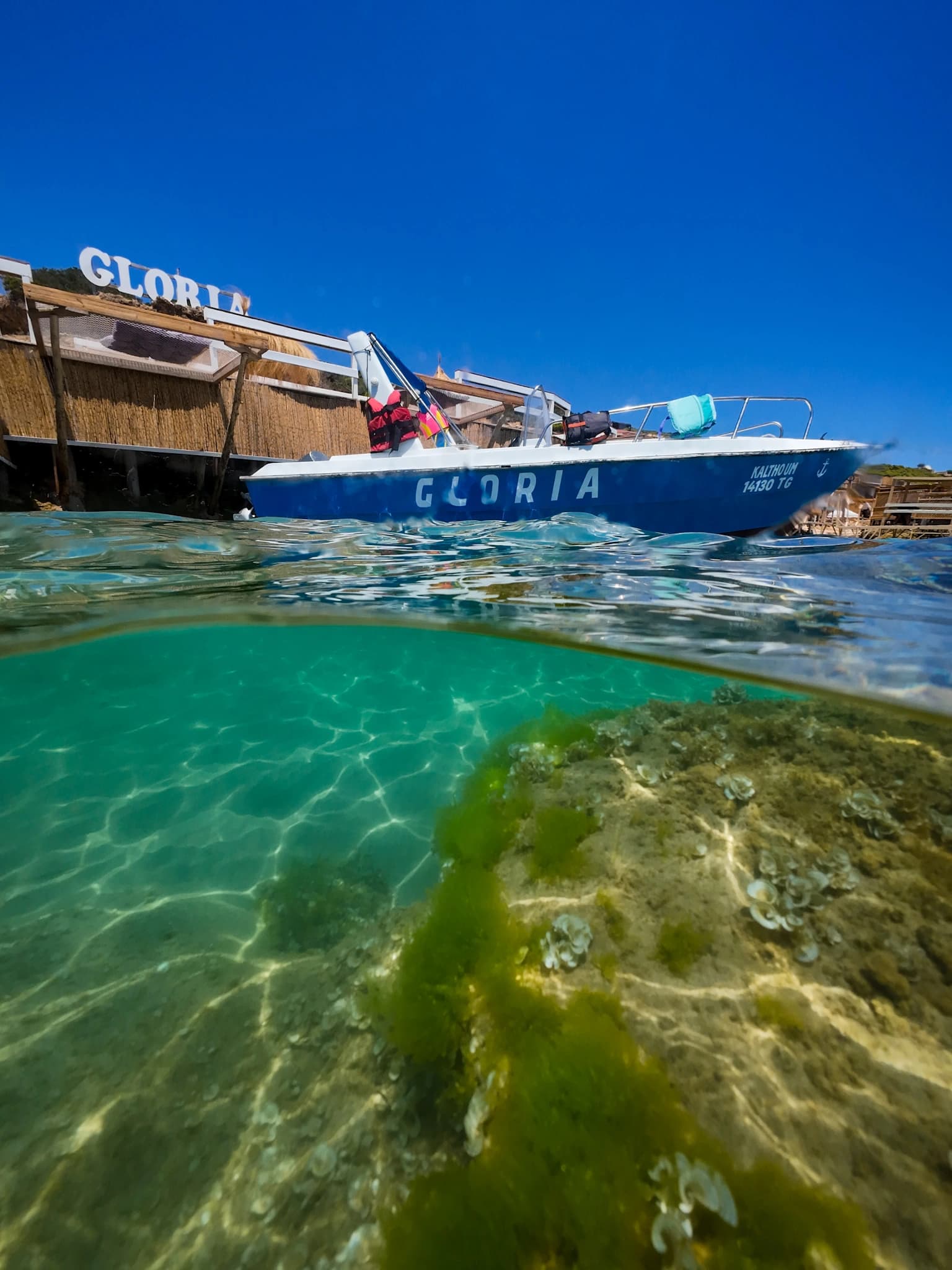 Gloria Island — photo 18